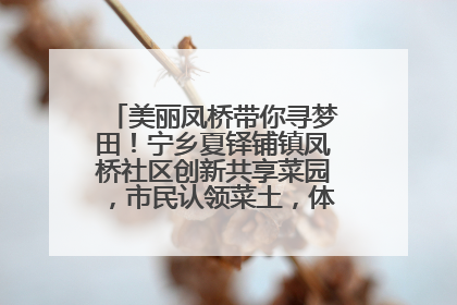 美丽凤桥带你寻梦田！宁乡夏铎铺镇凤桥社区创新共享菜园，市民认领菜土，体验耕种收获乐趣