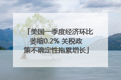 美国一季度经济环比萎缩0.2% 关税政策不确定性拖累增长