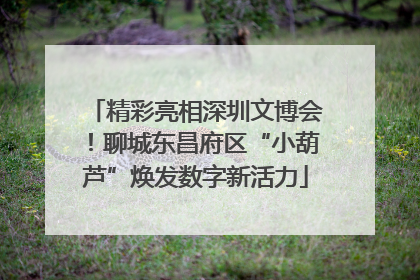 精彩亮相深圳文博会！聊城东昌府区“小葫芦”焕发数字新活力