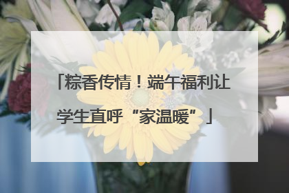 粽香传情！端午福利让学生直呼“家温暖”