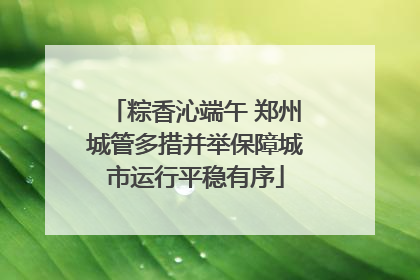 粽香沁端午 郑州城管多措并举保障城市运行平稳有序
