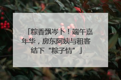 粽香飘岑卜！端午嘉年华，房东阿姨与租客结下“粽子情”