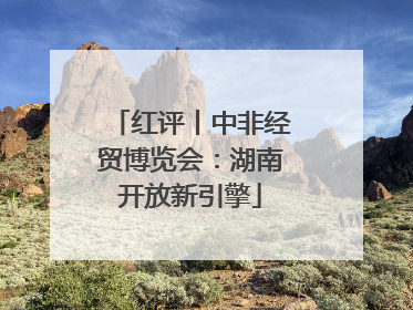 红评丨中非经贸博览会：湖南开放新引擎