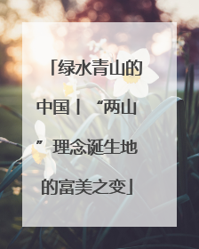 绿水青山的中国丨“两山”理念诞生地的富美之变