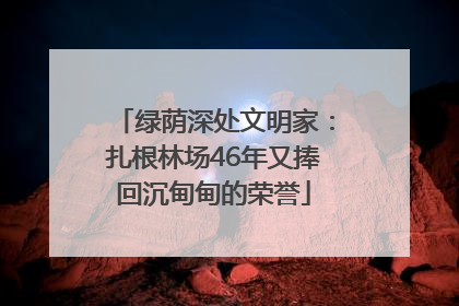 绿荫深处文明家：扎根林场46年又捧回沉甸甸的荣誉