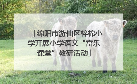 绵阳市游仙区梓棉小学开展小学语文“富乐课堂”教研活动