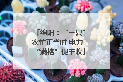 绵阳：“三夏”农忙正当时 电力“满格”促丰收