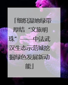 细织湿地绿带 厚结“文旅明珠”——中法武汉生态示范城挖掘绿色发展新动能