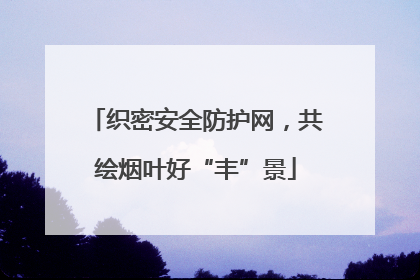 织密安全防护网，共绘烟叶好“丰”景