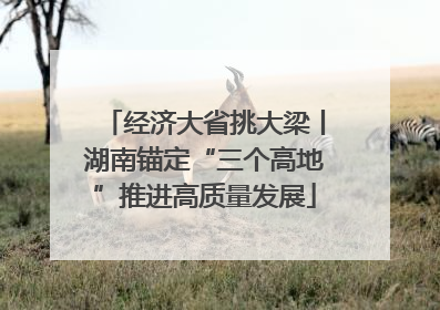 经济大省挑大梁丨湖南锚定“三个高地”推进高质量发展