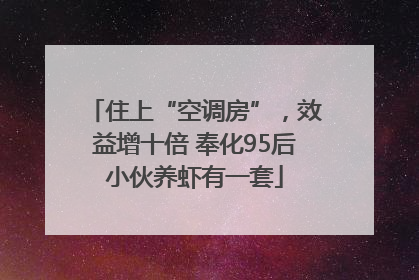 住上“空调房”，效益增十倍 奉化95后小伙养虾有一套