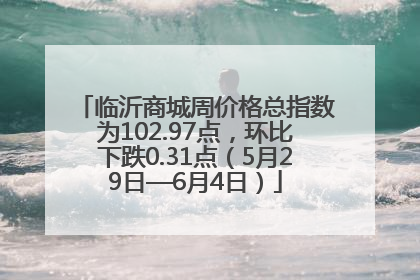 临沂商城周价格总指数为102.97点，环比下跌0.31点（5月29日—6月4日）