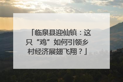 临泉县迎仙镇：这只“鸡”如何引领乡村经济展翅飞翔？