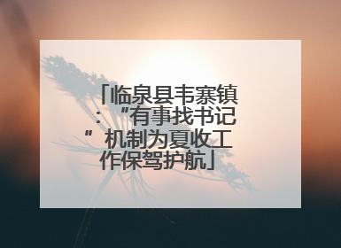 临泉县韦寨镇：“有事找书记”机制为夏收工作保驾护航
