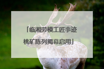 临湘劳模工匠事迹桃矿陈列揭幕启用