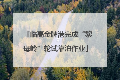 临高金牌港完成“黎母岭”轮试靠泊作业