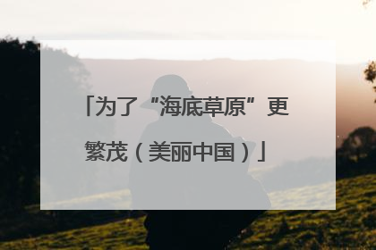 为了“海底草原”更繁茂（美丽中国）