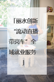 丽水创新“流动直播带岗车”全域就业服务