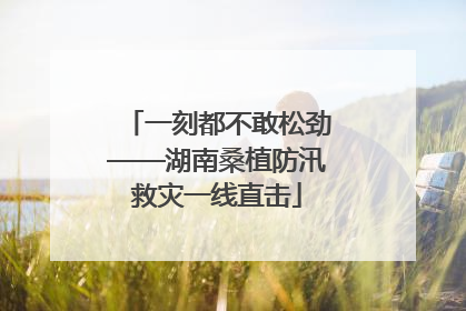 一刻都不敢松劲——湖南桑植防汛救灾一线直击