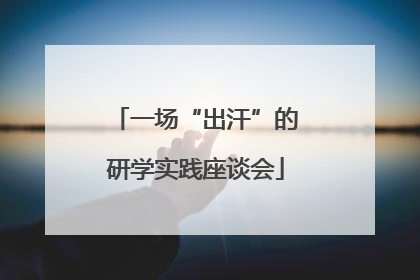 一场“出汗”的研学实践座谈会