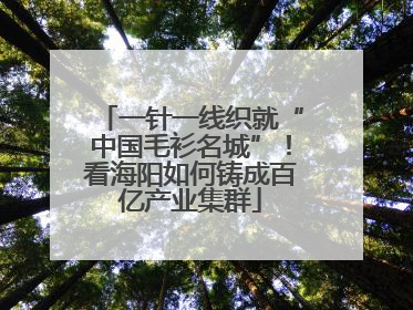 一针一线织就“中国毛衫名城”！看海阳如何铸成百亿产业集群
