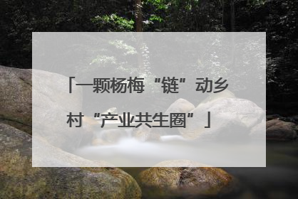 一颗杨梅“链”动乡村“产业共生圈”
