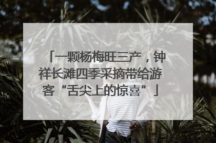 一颗杨梅旺三产，钟祥长滩四季采摘带给游客“舌尖上的惊喜”
