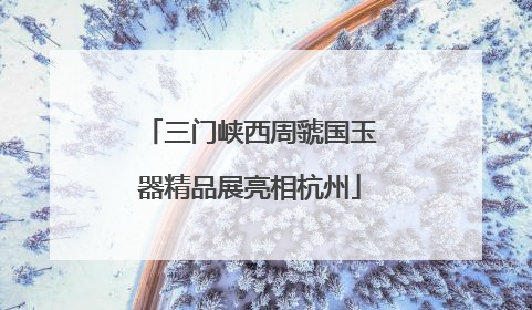 三门峡西周虢国玉器精品展亮相杭州
