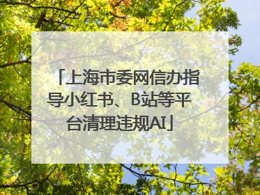 上海市委网信办指导小红书、B站等平台清理违规AI