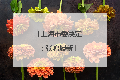 上海市委决定：张鸣履新