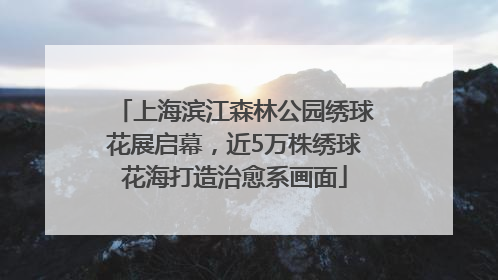上海滨江森林公园绣球花展启幕，近5万株绣球花海打造治愈系画面