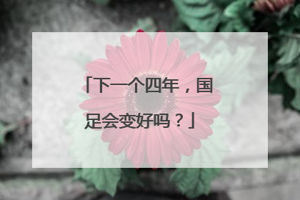 下一个四年，国足会变好吗？