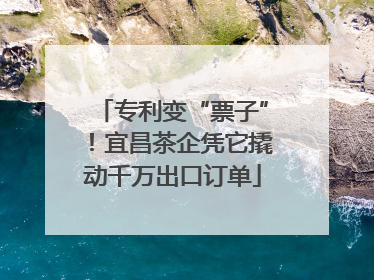 专利变“票子”！宜昌茶企凭它撬动千万出口订单