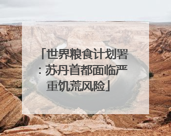 世界粮食计划署：苏丹首都面临严重饥荒风险