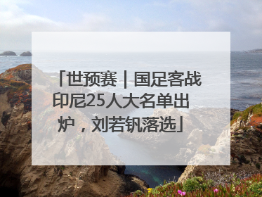 世预赛｜国足客战印尼25人大名单出炉，刘若钒落选