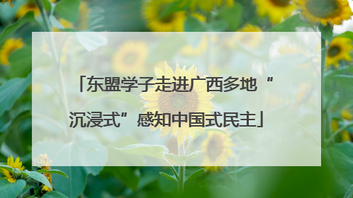 东盟学子走进广西多地“沉浸式”感知中国式民主