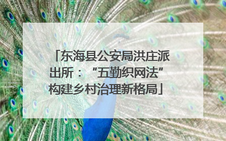 东海县公安局洪庄派出所：“五勤织网法”构建乡村治理新格局