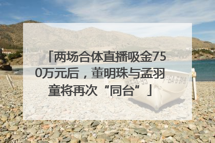 两场合体直播吸金750万元后，董明珠与孟羽童将再次“同台”