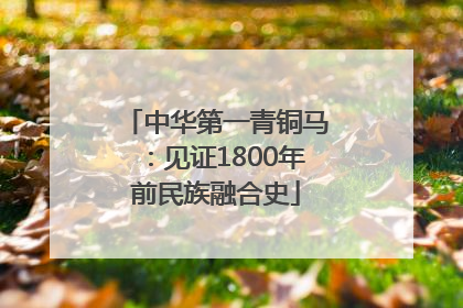 中华第一青铜马：见证1800年前民族融合史