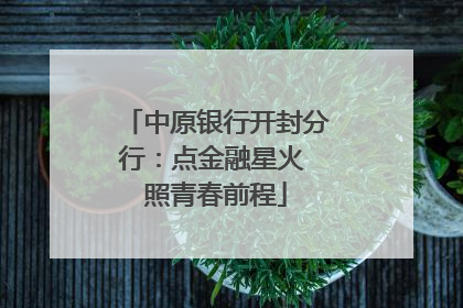 中原银行开封分行：点金融星火 照青春前程