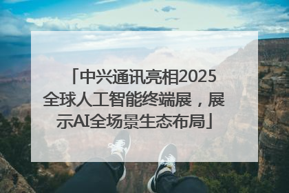 中兴通讯亮相2025全球人工智能终端展，展示AI全场景生态布局