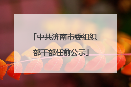 中共济南市委组织部干部任前公示