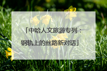 中哈人文旅游专列：钢轨上的丝路新对话