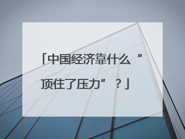 中国经济靠什么“顶住了压力”？