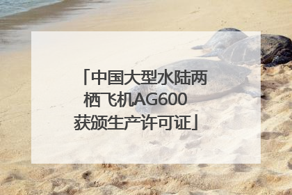 中国大型水陆两栖飞机AG600获颁生产许可证