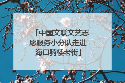 中国文联文艺志愿服务小分队走进海口骑楼老街