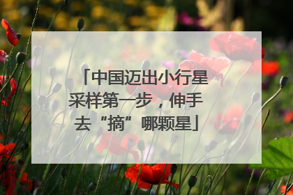 中国迈出小行星采样第一步，伸手去“摘”哪颗星