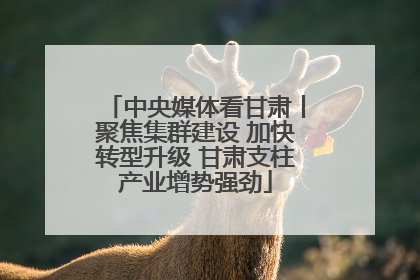 中央媒体看甘肃丨聚焦集群建设 加快转型升级 甘肃支柱产业增势强劲