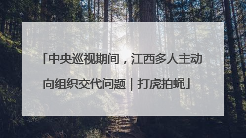 中央巡视期间，江西多人主动向组织交代问题｜打虎拍蝇