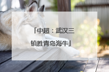 中超：武汉三镇胜青岛海牛